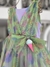 Vestido Sorvete Monsucré. - Closet de Luxo