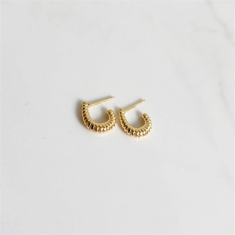 Brinco Rosca Ancora Banhado