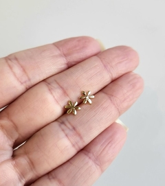 Brinco Flor Lisa Pequena Banhado a Ouro na internet
