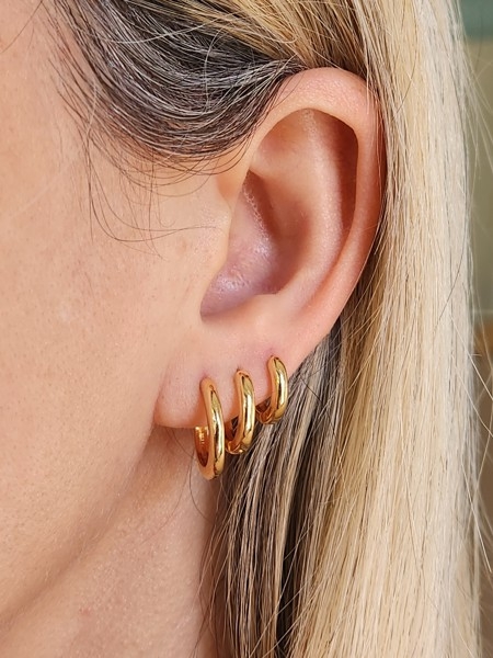 Argolinha Lisa Carolina Banhado a Ouro