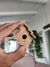 Mini Casinha Redonda