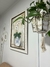 Quadro Orquídea - comprar online