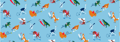 Banner de la categoría Boxer