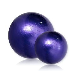 BALÓN FITBALL DE GIMNASIA 55CM en internet