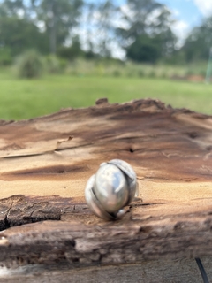Anillo de plata 900 estilo belgiorno medialuna