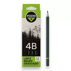Lápices Pizzini Negros Graduados en internet