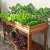 Huerta en Altura Grande - comprar online