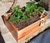 Kit Cajón Frutillero - tienda online