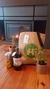 Kit Amigo/a - comprar online
