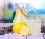 Plantín de Lavanda - tienda online