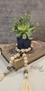 Florero MARBELLA - tienda online