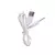 Vibrador Ponto G Controlado por App - loja online