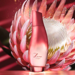 Natura Luna Coragem Desodorante Colônia Feminino, 75ml - comprar online