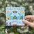 Mariposas
