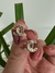 BRINCO INSPIRAÇÃO COM MICRO ZIRCÔNIA BANHADO A OURO 18K - della fiori semi joias