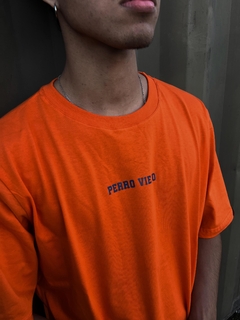 REMERA AUBURN - Perro Viejo Clothes 