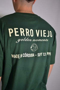 Remera Moments green en internet