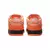 Concepts x Nike SB Dunk Low Orange Lobster - Savage Store