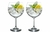 Jogo de Taças Gin 600ml - loja online
