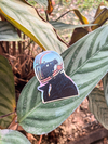 Pilot holo