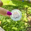 Save the Totoro