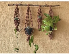 Suporte 4 em 1 p/ plantas - comprar online