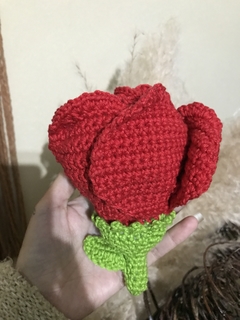 Fadinha que vira rosa Amigurumi na internet