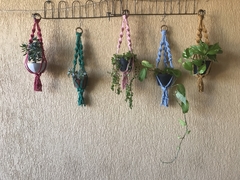Suporte padrão BABY para plantas pequenas