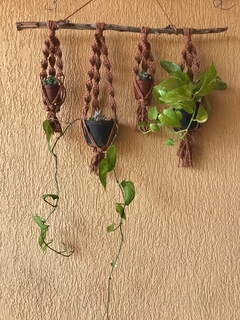 Suporte 4 em 1 p/ plantas