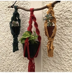 Suporte 3 em 1 para plantas - comprar online