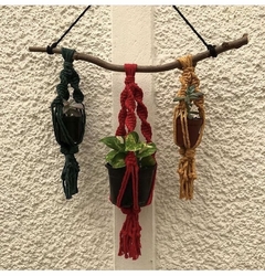 Suporte 3 em 1 para plantas na internet