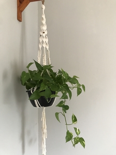 Suporte planta 3 alças com miçangas - comprar online