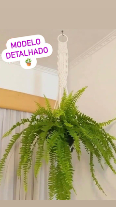 Suporte G detalhado para plantas grandes. - comprar online