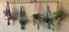 Suporte padrão BABY para plantas pequenas - comprar online