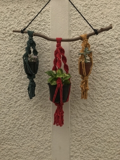 Suporte 3 em 1 para plantas