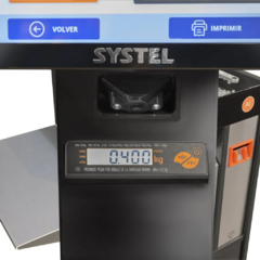 BALANZA AUTOSERVICIO SYSTEL DETECT-IA en internet