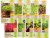 (MULTI) Isla Microverdes - Kit 10 Sementes (+ Vendidas)