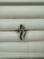 Anillo S