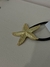 Colitas Estrella y Flor en internet