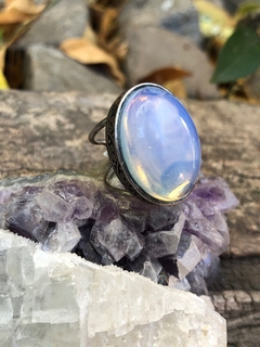 Anillo Luna en internet