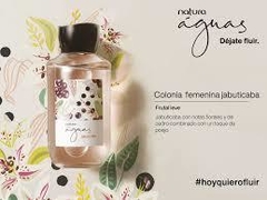 Aguas Jabuticaba - Zebra Beauty