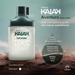Kaiak Aventura en internet