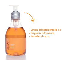 Jabón líquido para manos Pitanga en internet