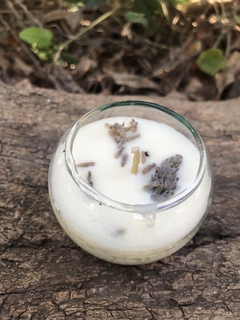 Velitas de Soja