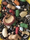 Papagaio Frutas e Castanhas