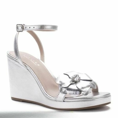 Anabela Flor Natália Toscano Lia Line - carolina oliveira