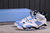 Air Jordan 6 UNC White