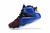 LeBron XII What The na internet