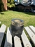 Mate imperial premium (incluye bombilla de regalo)