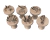 Kit 6 Carimbos para Brigadeiro Tema Fundo do Mar – PLA | Decoração Criativa